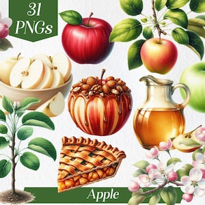 Apple Clipart, aquarela apple clip art, png, torta de maçã, fruta fresca, orgânico, comida, cidra, macieira, ilustração para impressão, gráficos