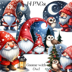 Aquarel kabouter en uil clipart, 14 png-bestanden, schattige kabouter, kerstafbeeldingen, winters tafereel, nachtbos, afdrukbare illustratie, afbeeldingen