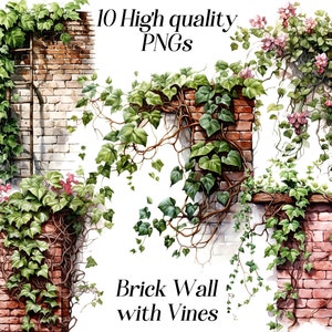 Pared de ladrillo de acuarela con imágenes prediseñadas de Vines, 10 archivos PNG de alta calidad, imágenes prediseñadas de vides, ilustración de plantas, gráficos imprimibles