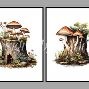 May include: Two watercolor illustrations of mushrooms growing on tree stumps. The first image shows a cluster of mushrooms with red and orange caps on a stump with a hole in the side. The second image shows three mushrooms with red and orange caps on a stump with green moss and ferns.