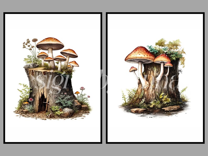 May include: Two watercolor illustrations of mushrooms growing on tree stumps. The first image shows a cluster of mushrooms with red and orange caps on a stump with a hole in the side. The second image shows three mushrooms with red and orange caps on a stump with green moss and ferns.