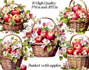 Watercolor basket with apples clipart, 10 high quality JPEG and PNG files, fruit clip art, apple blossom, red apple illustration, printables