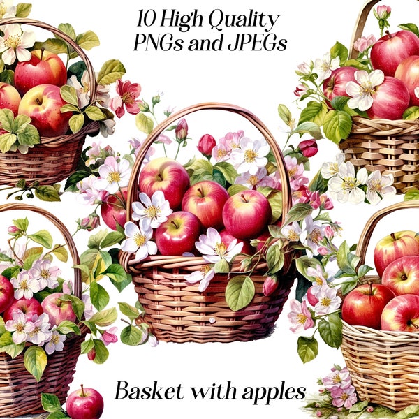 Watercolor basket with apples clipart, 10 high quality JPEG and PNG files, fruit clip art, apple blossom, red apple illustration, printables