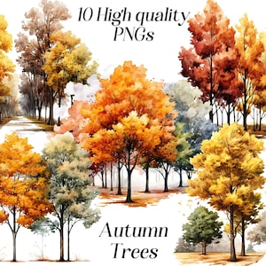 Może przedstawiać: Akwarelowe ilustracje jesiennych drzew w różnych kolorach, w tym żółtym, pomarańczowym i czerwonym. Obraz zawiera tekst "10 High quality PNGs" i "Autumn Trees". Drzewa przedstawione są ze szczegółowymi liśćmi i pniami, odpowiednie do projektów graficznych.