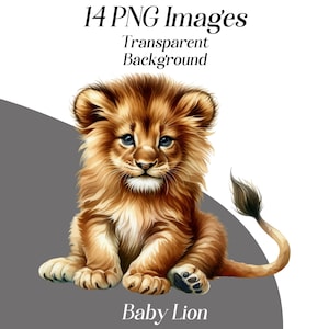 Imágenes prediseñadas de león bebé, ilustración de león en acuarela, png, lindos animales bebés, safari, ilustración, descarga digital, uso comercial