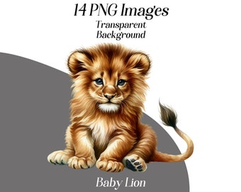Watercolor Baby Lion Clipart: Safari Animal PNG (Digital Download)