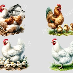 May include: Four illustrations of chickens. The top left image shows a brown and white hen with a red comb sitting on a pile of rocks in front of a red barn. The top right image shows a brown hen with a red comb and three yellow chicks. The bottom left image shows a white hen with a red comb and a group of yellow chicks. The bottom right image shows a white hen with a red comb.