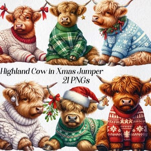 Highland Cow in Christmas Jumper Clipart, mucca festiva, PNG, carina mucca delle feste in maglione, animali natalizi, digitale, illustrazione ad acquerello