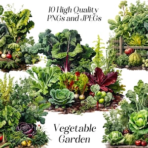 Clipart aquarelle de potager, 10 fichiers JPEG et PNG de haute qualité, cottagecore, clipart nourriture, art mural cuisine, plantes végétariennes