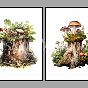 May include: Two watercolor paintings of mushrooms growing on tree stumps. The first painting shows a cluster of mushrooms with brown caps and white stems growing on a tree stump with green moss and foliage. The second painting shows a larger mushroom with a brown cap and white stem growing on a tree stump with green moss and foliage.