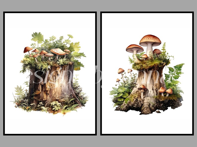 May include: Two watercolor paintings of mushrooms growing on tree stumps. The first painting shows a cluster of mushrooms with brown caps and white stems growing on a tree stump with green moss and foliage. The second painting shows a larger mushroom with a brown cap and white stem growing on a tree stump with green moss and foliage.