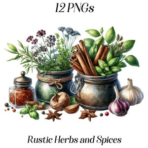 Clipart de ervas e especiarias rústicas em aquarela, 12 arquivos PNG, clipart de comida, despensa de cozinha, imagens de livros de culinária, ilustração de culinária, imprimíveis