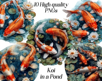 Aquarel koivijver clipart: Japanse vissenillustraties (PNG-bestanden)