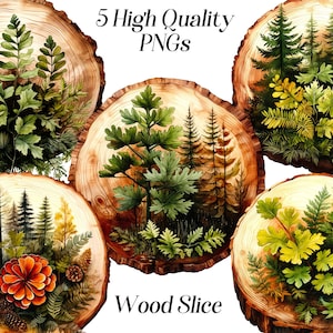 Houtsnede clipart, botanische illustraties, bos gebladerte, varen, aquarel illustratie, groen, schors, herfstdecor, afdrukbare afbeeldingen