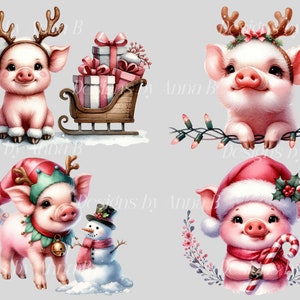 Watercolor Christmas Piglet Clipart, 20 High Quality PNG Files, Xmas ...