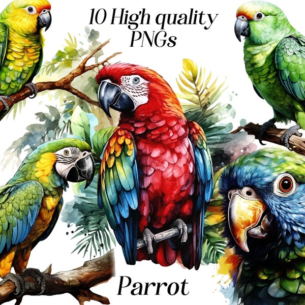 Watercolor parrot clipart, 10 high quality PNG files, bird clip art, sublimation graphics, printables, tropical bird illustration