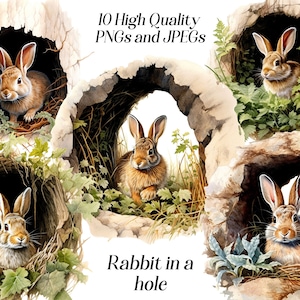 Aquarell Kaninchen Clipart, 10 hochwertige JPEG- und PNG-Dateien, Kaninchen Clipart, Waldtier, Waldtier, Scrapbooking, digital
