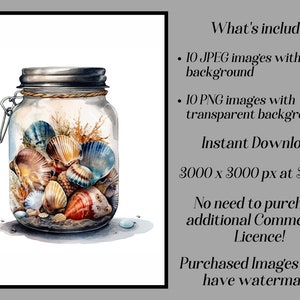 Watercolor sea shells clipart, 10 high quality JPEG and PNG files, nautical clipart, seashells clip art, ocean life, summer beach zdjęcie 2