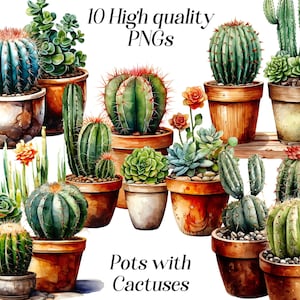 Clipart cactus aquarelle, 10 fichiers PNG de haute qualité, clipart de plantes succulentes, plantes en pot, graphiques imprimables