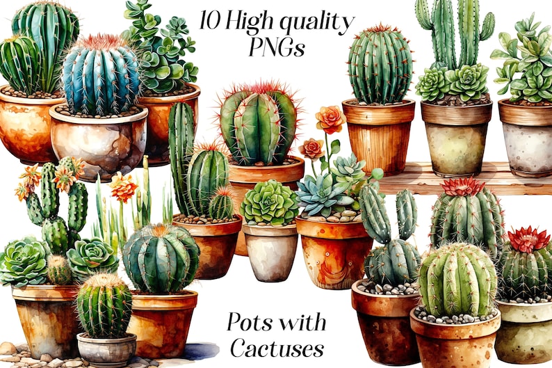 Watercolor Cactus Clipart: Potted Succulents PNG Graphics (digital ...