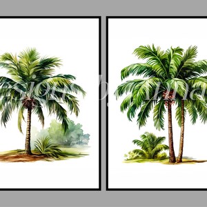 May include: Two watercolor paintings of palm trees. The first painting shows a single palm tree with green leaves and a brown trunk. The second painting shows two palm trees with green leaves and brown trunks.