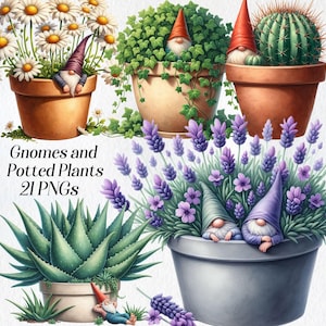 May include: Watercolor illustration of potted plants with gnomes. The image features daisies, ivy, a cactus, aloe vera, and lavender. Each plant is in a terracotta or gray pot, with a gnome figure. Text reads "Gnomes and Potted Plants 21 PNGs."