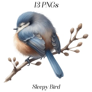 Sleepy Bird clipart, schattige vogel, schattige vogelillustratie, schattige dieren, kinderdagverblijf, aquarel, tuinvogel, digitale download, commercieel gebruik