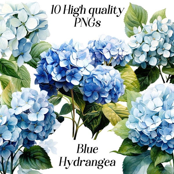 Watercolor Blue Hydrangea clipart, 10 high quality PNG files, Blue flower clipart, flower clip art, floral illustration, printable graphics
