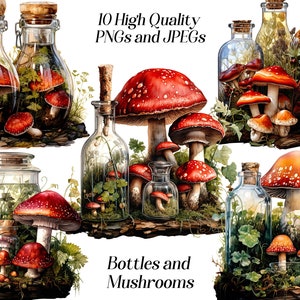 Clipart champignons, champignons, clipart champignon vénéneux, aquarelle, champignon forestier, png, bouteilles, apothicaire, sorcière, numérique, imprimable