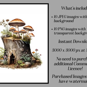 May include: A digital illustration of a group of mushrooms growing on a tree stump. The mushrooms are brown and white with red accents. The tree stump is brown and has a hole in the side. The background is white.