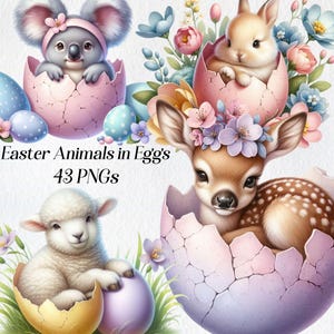 Ostern Tiere in Eiern Clipart, Aquarell Frühling Clip Art, png, süße Haustiere, Pastell Eier, Blumen, Baby Tiere Grafiken, digitale Bilder