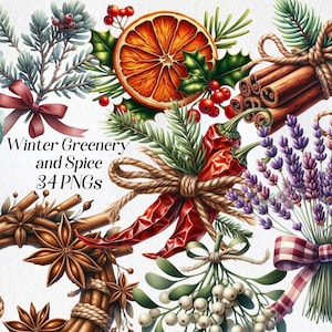 Clipart Noël verdure et épices, clipart aquarelle, png, pommes de pin, herbes, pot-pourri, vacances d'hiver, téléchargement numérique, imprimable