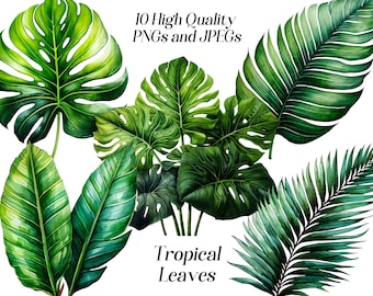Watercolor Tropical Leaf Clipart: Jungle Greenery (JPEG, PNG)