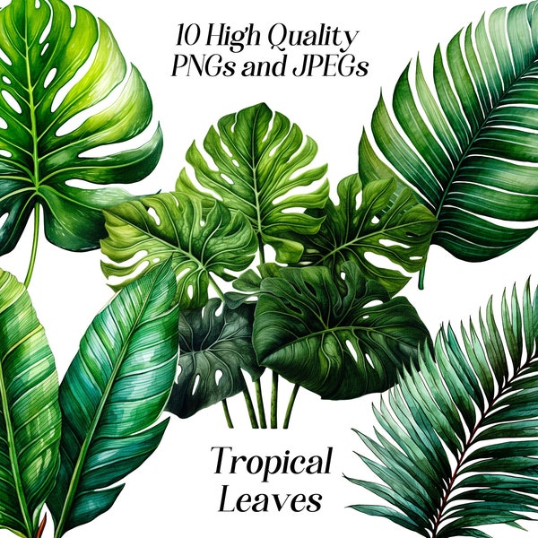 Watercolor tropical leaves clipart, 10 high quality JPEG and PNG Files, jungle leaf, monstera leaf, greenery clip art, printables