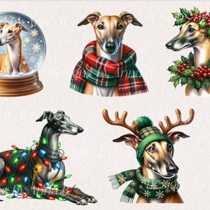 May include: Five digital illustrations of greyhounds in various festive settings. One greyhound is inside a snow globe, another is wearing a red and green plaid scarf, another is wearing a green wreath, another is wearing a green and white scarf and antlers, and another is wrapped in Christmas lights.