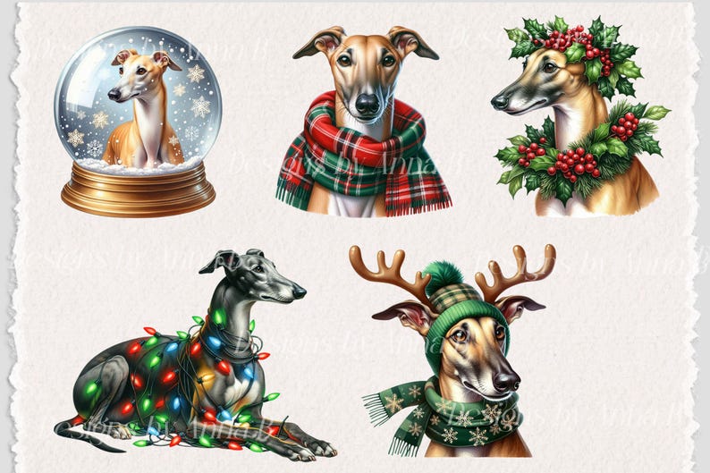 May include: Five digital illustrations of greyhounds in various festive settings. One greyhound is inside a snow globe, another is wearing a red and green plaid scarf, another is wearing a green wreath, another is wearing a green and white scarf and antlers, and another is wrapped in Christmas lights.