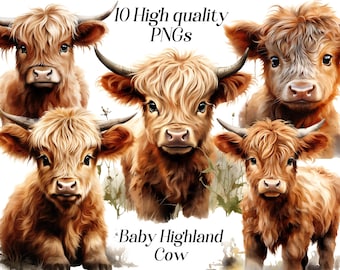 Watercolor Baby Highland Cow clipart, 10 high quality PNG files, farm animal illustration, printable graphics