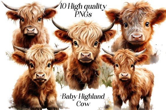 Watercolor Baby Highland Cow Clipart: Farm Animal PNG Graphics (Digital Download)