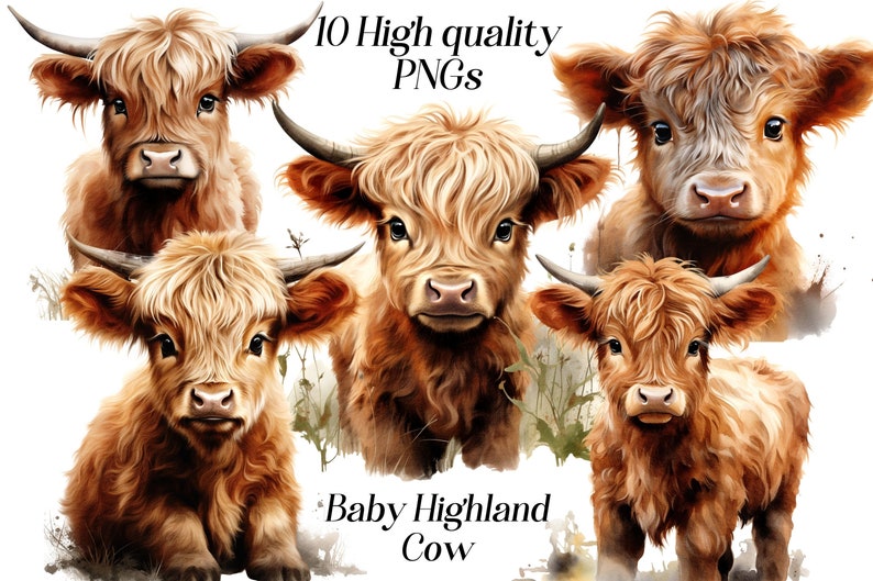 May include: Five adorable baby Highland cows with long, fluffy brown fur. The cows are looking directly at the camera with big, curious eyes. The image is set against a white background with a light green and brown watercolor effect.