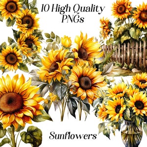 Clipart tournesols aquarelle, 10 fichiers PNG de haute qualité, couronne de tournesol, graphiques imprimables, clipart floral, sublimation de tournesol