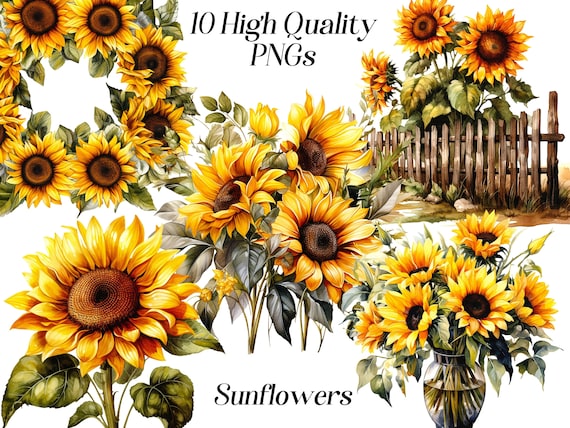Watercolor Sunflower Clipart: Floral Wreath PNG Graphics (Digital Download)
