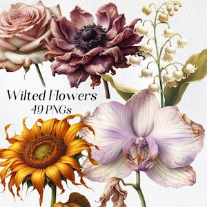 Clipart di fiori appassiti, clipart di fiori secchi ad acquerello, fiori secchi, rosa, peonia, girasole, papavero, orchidea, download digitale, stampabile