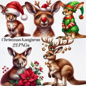 Weihnachten Känguru Clipart, festliche Känguru Clip Art, png, Winter Feiertage Känguru Illustration, druckbare Grafik, digitaler Download