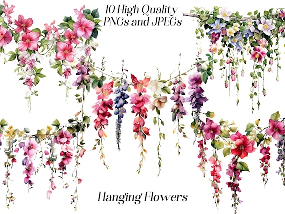 Watercolor Hanging Flowers Clipart: Botanical PNG & JPEG Files (Digital Download)