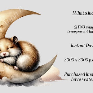 Watercolor Sleepy Animals on Crescent Moon Clipart (PNG Files) - Etsy