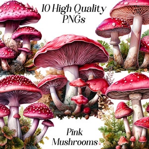 Clipart aquarelle champignon rose, 10 fichiers JPEG de haute qualité, clipart cottagecore, illustration de champignon, graphiques imprimables, plante des bois