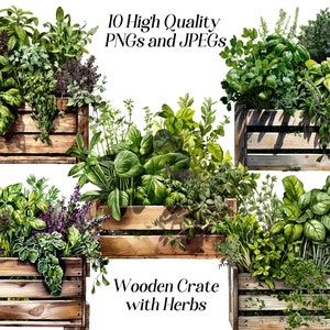 Watercolor Herbs Clipart: Kitchen Decor Prints (JPEG, PNG)