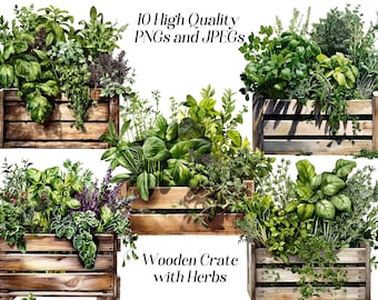 Clipart d'herbes aquarelles : impressions de décoration de cuisine (JPEG, PNG)
