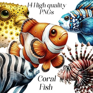 水彩サンゴ魚のクリップアート、14 個の高品質 PNG ファイル、水槽、水族館の魚、海の動物、印刷可能なグラフィック、イラスト