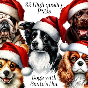 Watercolor Dogs with Santa hat clipart, 33 high quality PNG files, christmas dog, xmas graphics, festive clipart, winter holidays, printable